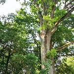 Jeziorosfera. Stodola Przy Wodzie. בית נופש *