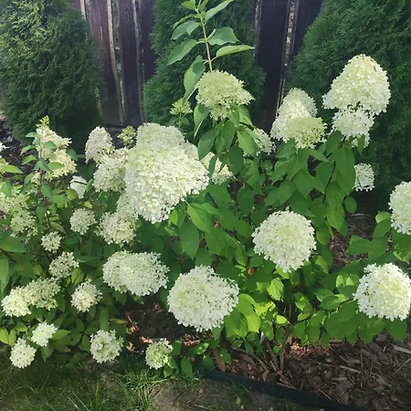 Casa vacanze Jeziorosfera. Stodola Przy Wodzie. *