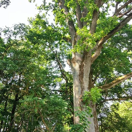 Jeziorosfera. Stodola Przy Wodzie. Casa de Férias *