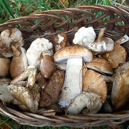 Jeziorosfera. Stodola Przy Wodzie. *