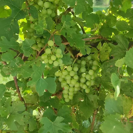 Jeziorosfera. Stodola Przy Wodzie. * Mrągowo